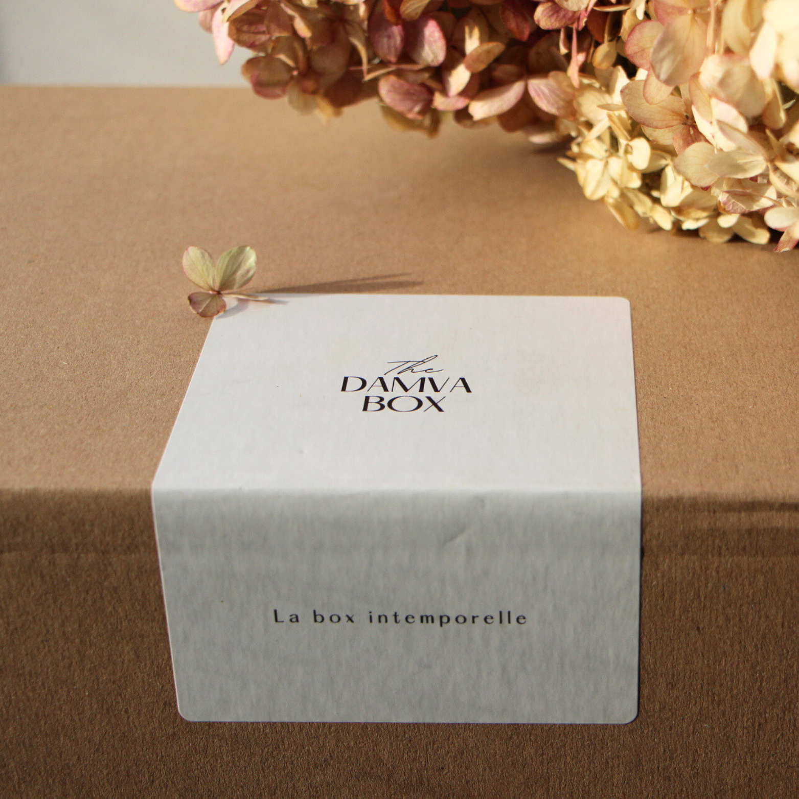 Box déco - damva