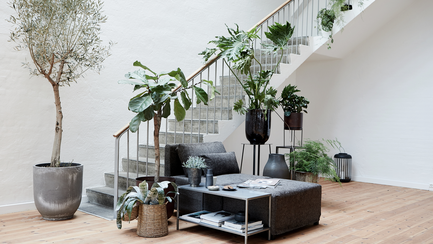 Les plantes vertes en décoration d'intérieur : Comment ajouter une touche de nature à votre maison