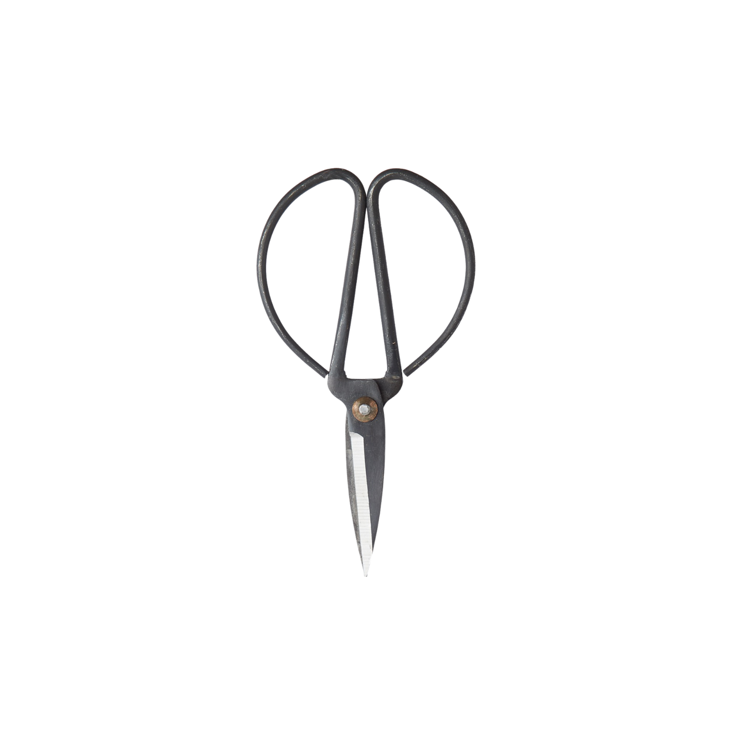 Ciseaux en fonte noire