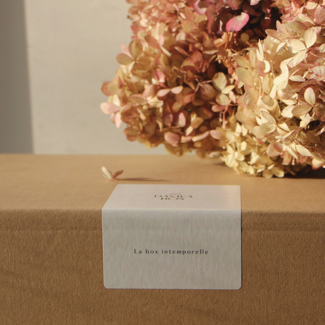 DAMVABOX  │ Valentine ♥️