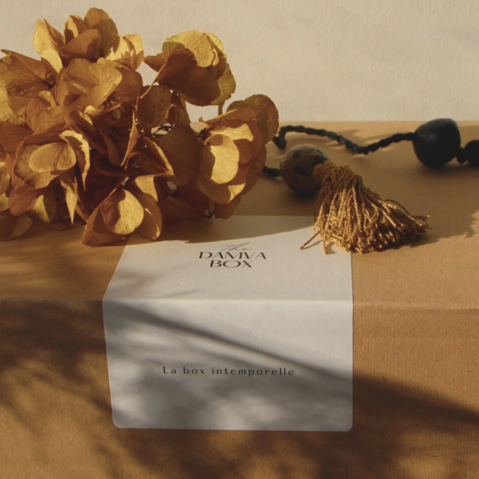 DAMVABOX │ Cuisine