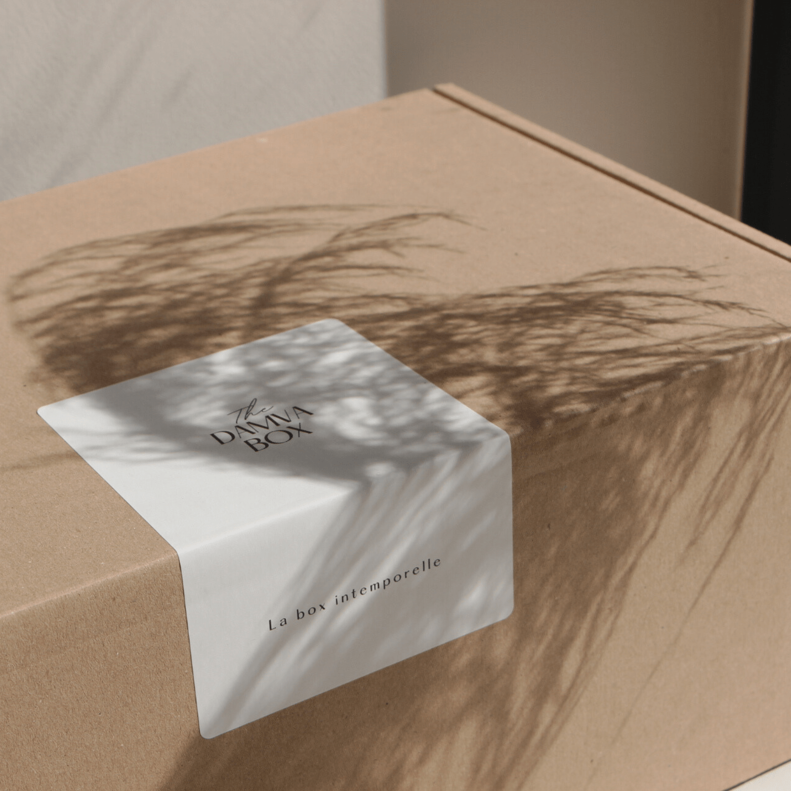 Box de decoration sans abonnement DAMVA