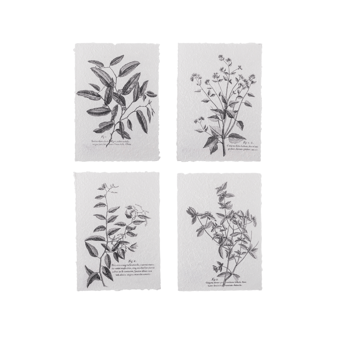 Fribo-Affiche-Noir-Papier-Bloomingville